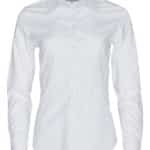 Benchmark Womens CVC Oxford Long Sleeve Shirt